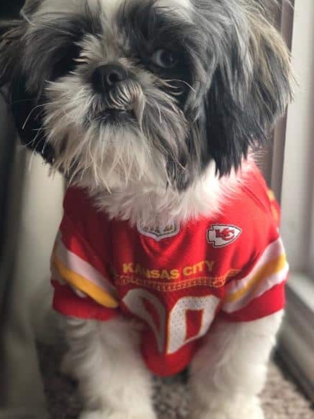 NFL Dog & Cat Jersey, Kansas City Chiefs - Size Medium